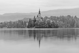 Malerisches Bled in Schwarz-Weiß von Daan Duvillier | Stimmungsvolle Stadt- und Landschaftsfotos
