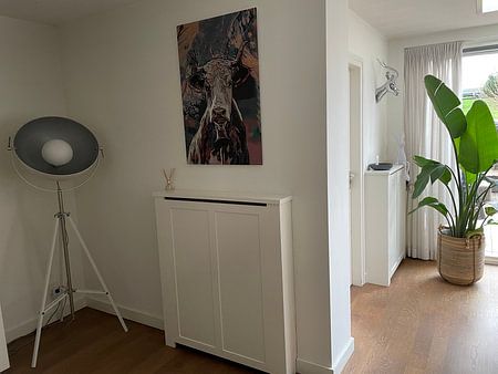 Koeienkop in mixed media