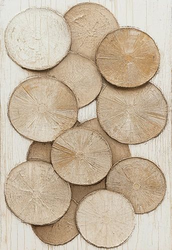 Jahresringe: eine Geschichte von Zeit und Natur