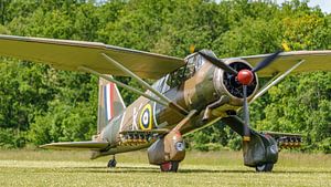 Gelandet: Westland Lysander.