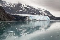 Margaret Glacier,Glacier Bay Alaska von Arie Storm Miniaturansicht