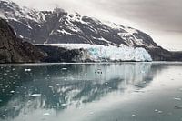 Margerie Glacier, Glacier Bay Alaska