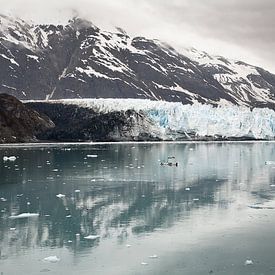 Margerie Glacier, Glacier Bay Alaska van Arie Storm