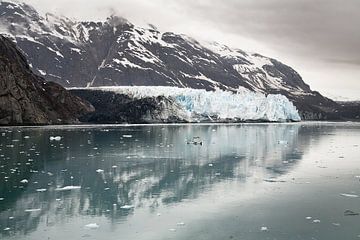 Margaret Glacier,Glacier Bay Alaska by Arie Storm
