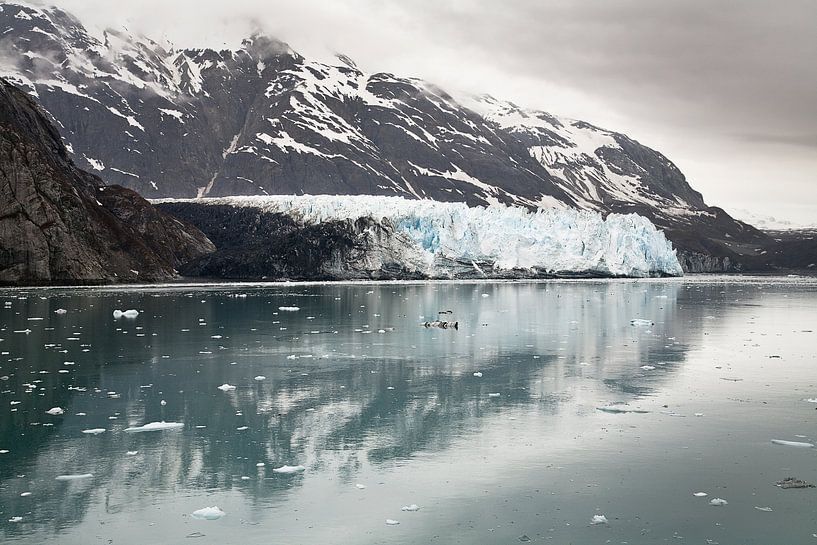 Margerie Glacier, Glacier Bay Alaska van Arie Storm