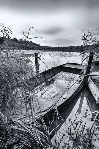 Boat in the reeds