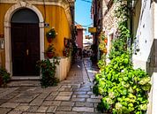 Vieille ruelle dans la ville de Porec en Croatie par Animaflora PicsStock Aperçu