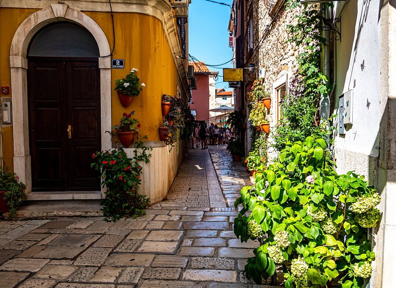 Vieille ruelle dans la ville de Porec en Croatie par Animaflora PicsStock