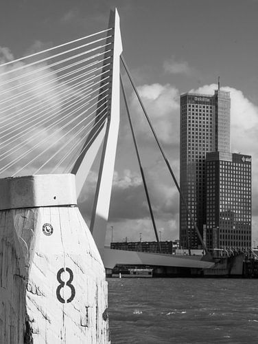 De Zwaan Rotterdam