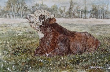 Blaarkop-Stier von Wim Romijn