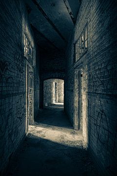 Abandoned Spaces van Frans Davids