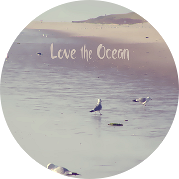 Hou van de OCEAN III  van Pia Schneider