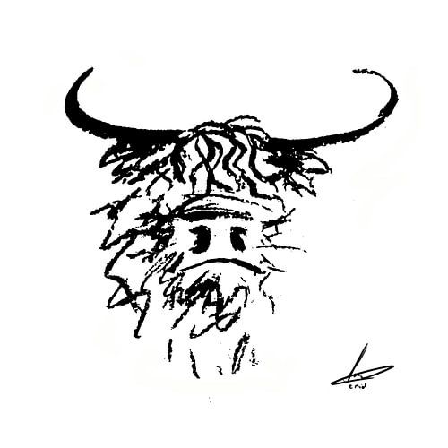 Schotse hooglander zwart wit kop