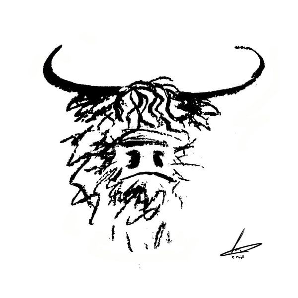 Schotse hooglander zwart wit kop van Emiel de Lange