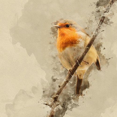Robin sur une branche