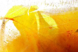 autumn by Marika Rentier