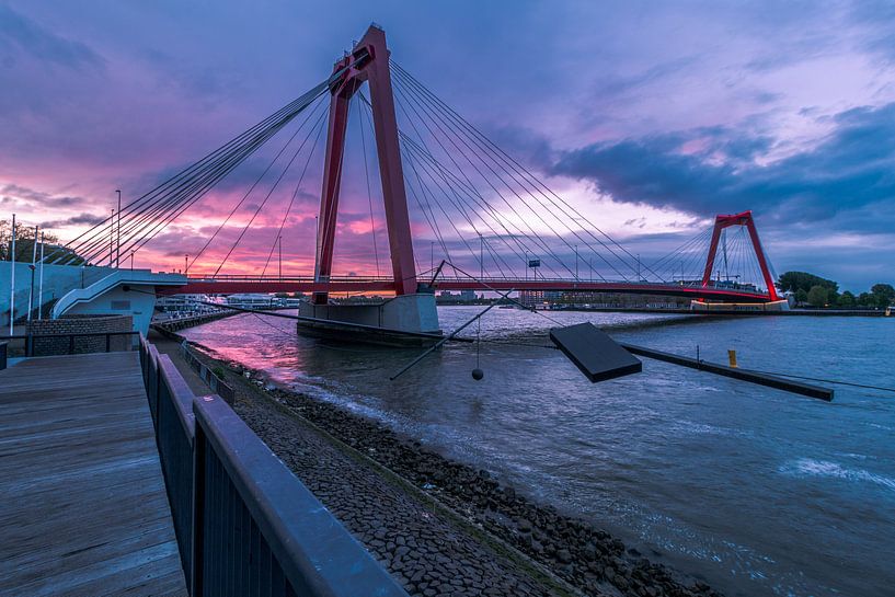 Morningglory Rotterdam van AdV Photography