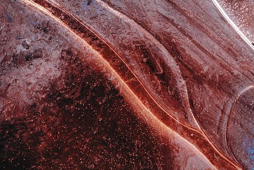 Abstract from Nature #6 van Fred Schuch