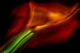 Graceful thoughts by Eric van Schaijk