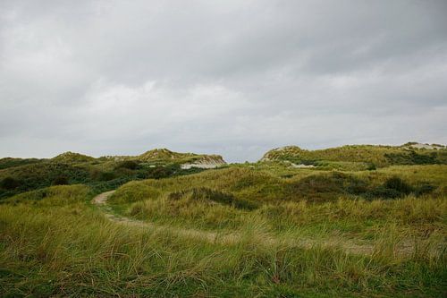 Pad naar het strand