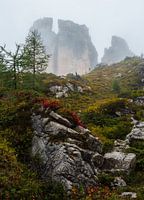 Montagne brumeuse