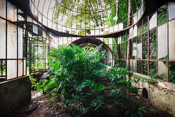 Verlaten Serre met Planten. van Roman Robroek - Foto's van Verlaten Gebouwen