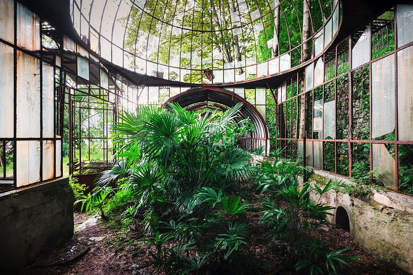 Abandoned Greenhouse with Plants. by Roman Robroek - Photos of Abandoned Buildings