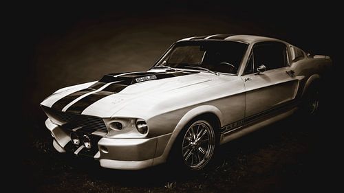 Mustang GT 513 black and white