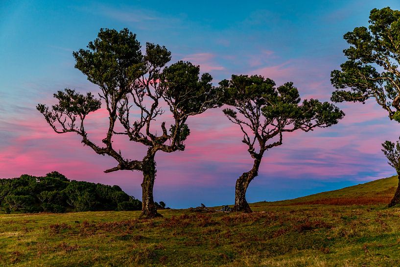 When the colors fits.. by Freek van den Driesschen