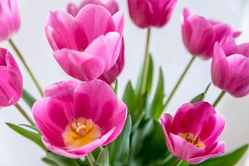 rozeTulpen op vaas