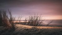 Kleurrijke avond boven strand in Zeeland van Michel Seelen thumbnail