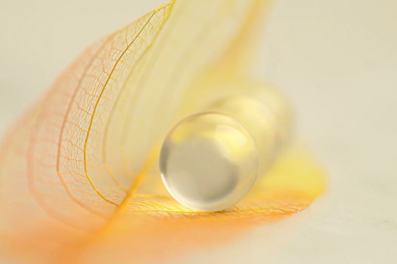 Happy colours abstract 1 (cheerful picture of 3 bulbs and yellow leaves) by Birgitte Bergman