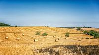 Landschap met hooirollen in het departement Gers, Zuid-Frankrijk van okkofoto thumbnail
