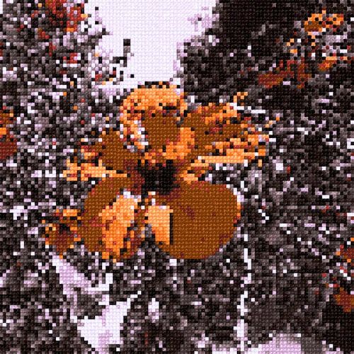 Flower. Cross Stitch.