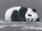 Panda von Jitka Krause Miniaturansicht