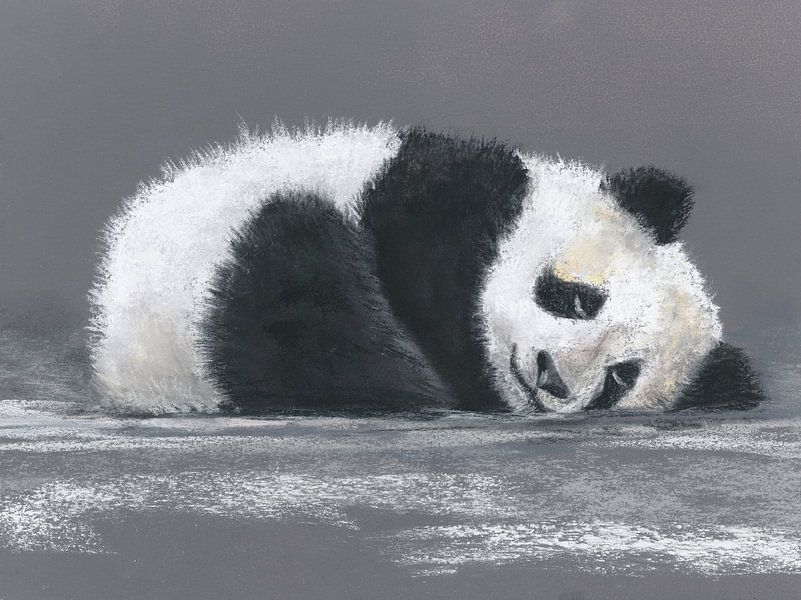 Panda von Jitka Krause