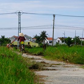 Bicycle through the rice by Mirko Meijer