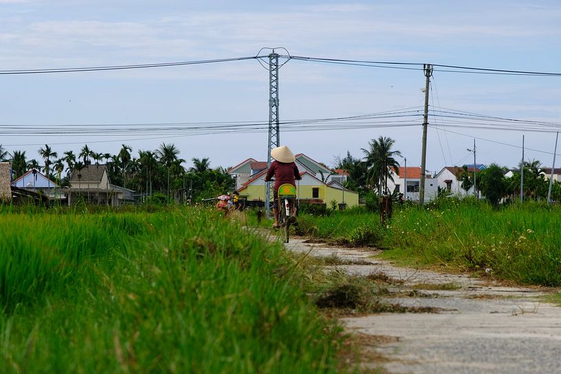 Bicycle through the rice by Mirko Meijer