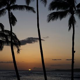 Palmenstrand auf Maui (Hawaii) von Michel Lumiere