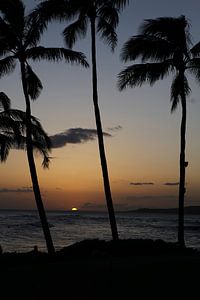 Palm Beach op Maui (Hawaii) van Michel Lumiere