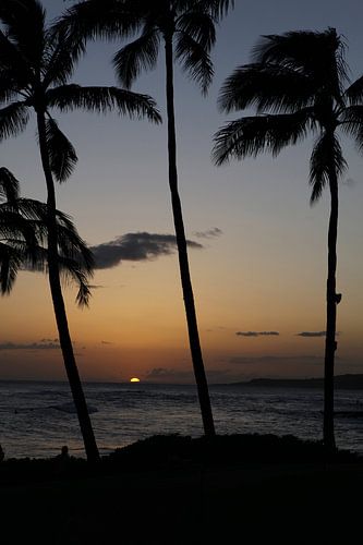 Palmenstrand auf Maui (Hawaii) von Michel Lumiere