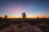 Ginkel Heath Ede