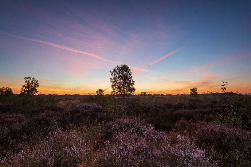 Ginkelsche Heide Ede von Bart van den Dikkenberg