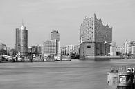 A view across the Norderelbe - Beautiful Hamburg by Rolf Schnepp thumbnail