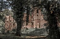 Ruïne Kasteel Bleijenbeek van Ans Bastiaanssen thumbnail