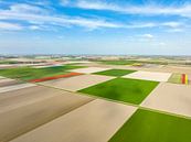 Tulpen in landbouwvelden in de lente gezien vanuit de lucht van Sjoerd van der Wal Fotografie thumbnail