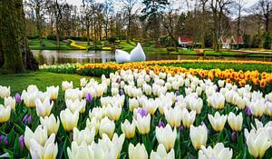 Keukenhof Park an einem schönen Frühlingstag