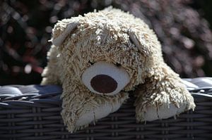 Eisbär knuddeliger Teddybär Kinder