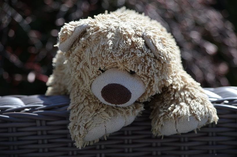 IJsbeer knuffeltje kinderen knuffelbeertje van Dlanor