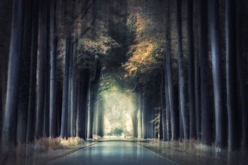 Landgoed Slangenburg, Doetinchem